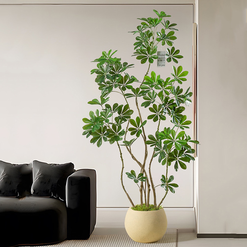 Rubber Plant Ficus - Árbol de Ficus Artificial grande, plantas