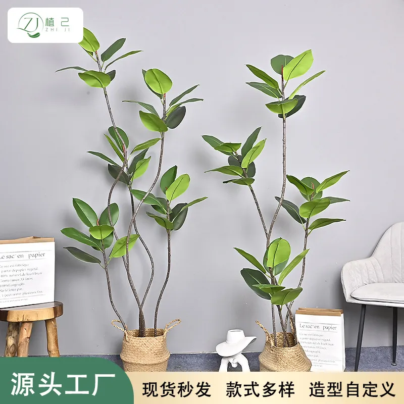 Rubber Plant Ficus - Planta Artificial de Árbol de Caucho