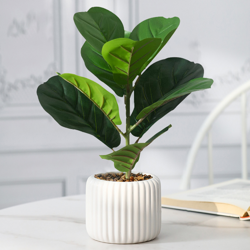 Rubber Plant Ficus - Árbol Ficus falso de 38cm, hojas