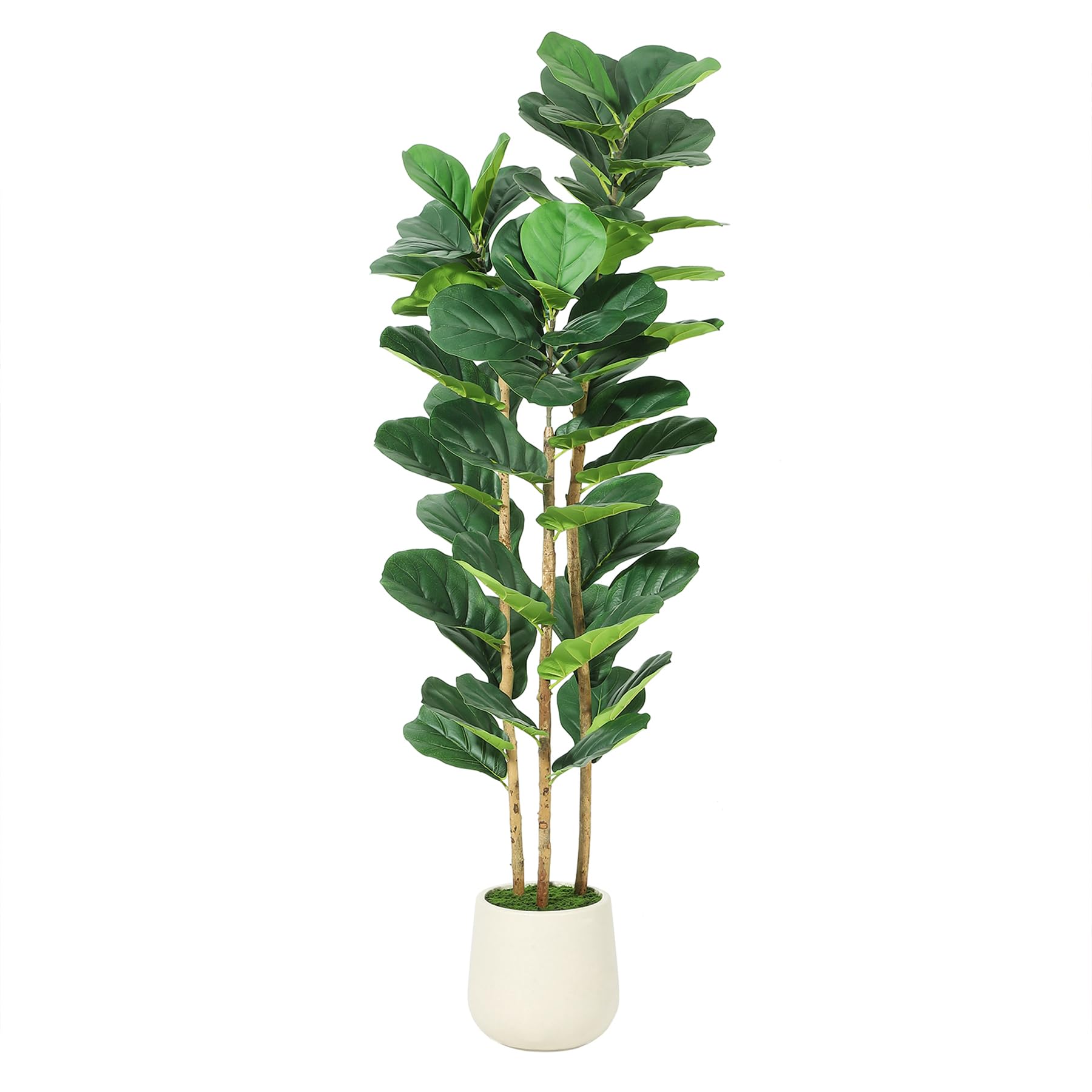 Árbol Artificial de Ficus Lyra - Rubber Plant Ficus reseña y precio