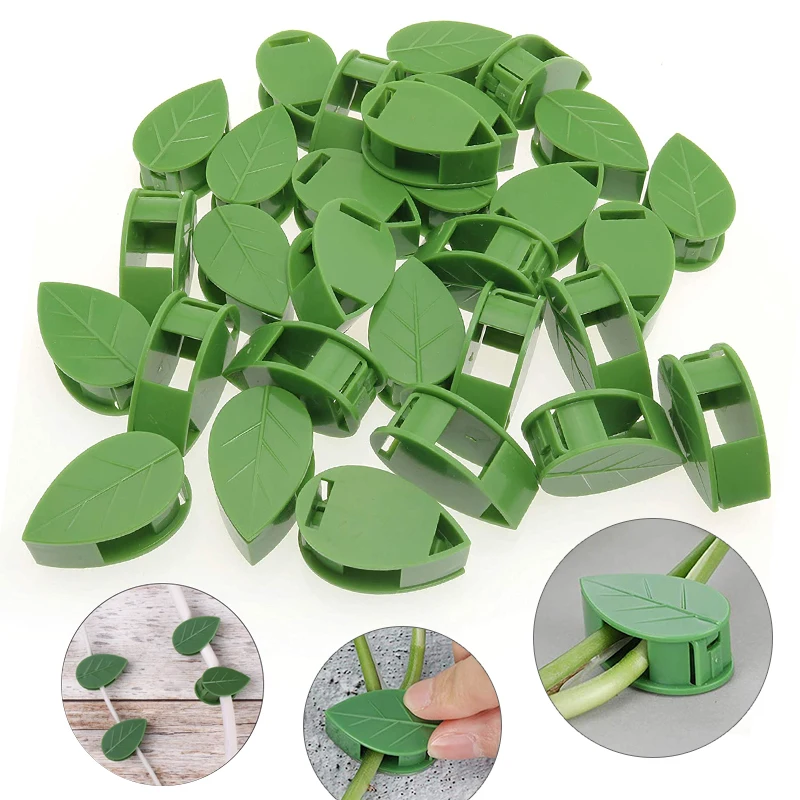 Dispositivo de escalada de par - Plant Parent reseña y precio