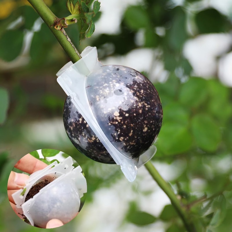 5/30 Piezas Bolas de Enraizami - Plant Parent reseña y precio