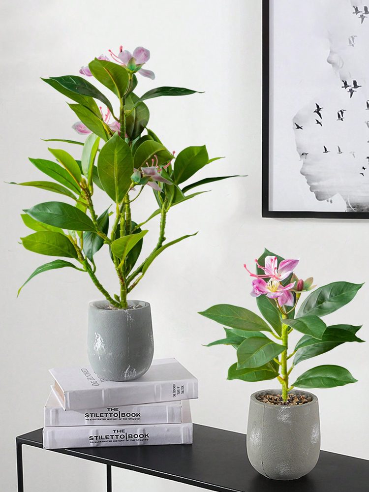 Plantas artificiales de Azalea - Rubber Plant Ficus reseña y precio