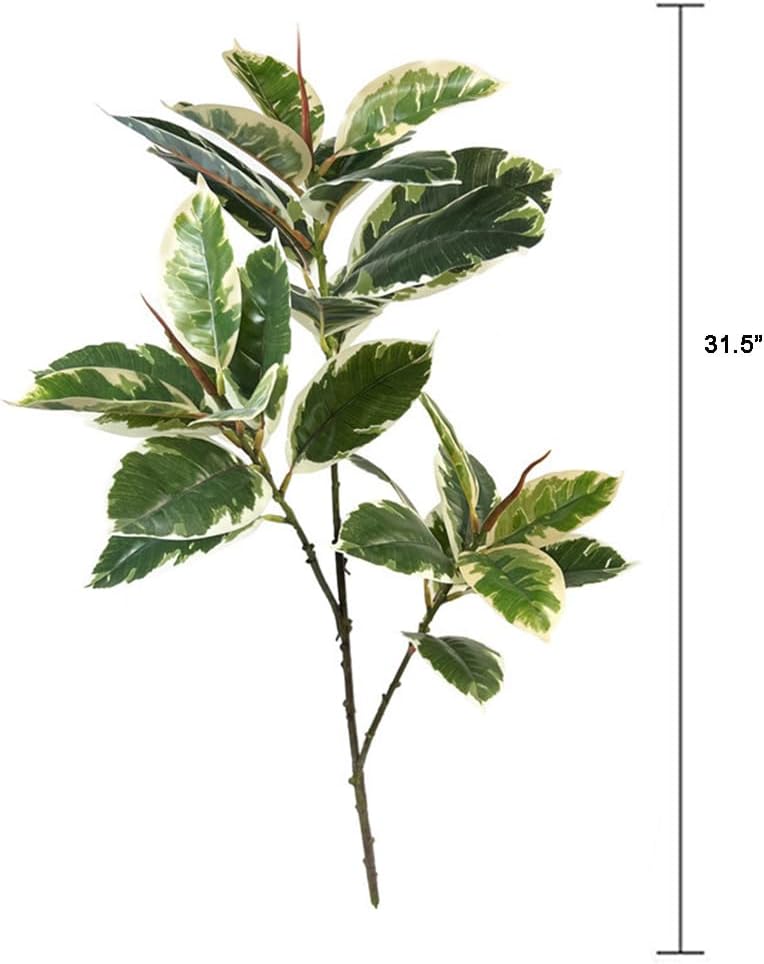 Planta Artificial Ficus Tineke - Rubber Plant Ficus reseña y precio