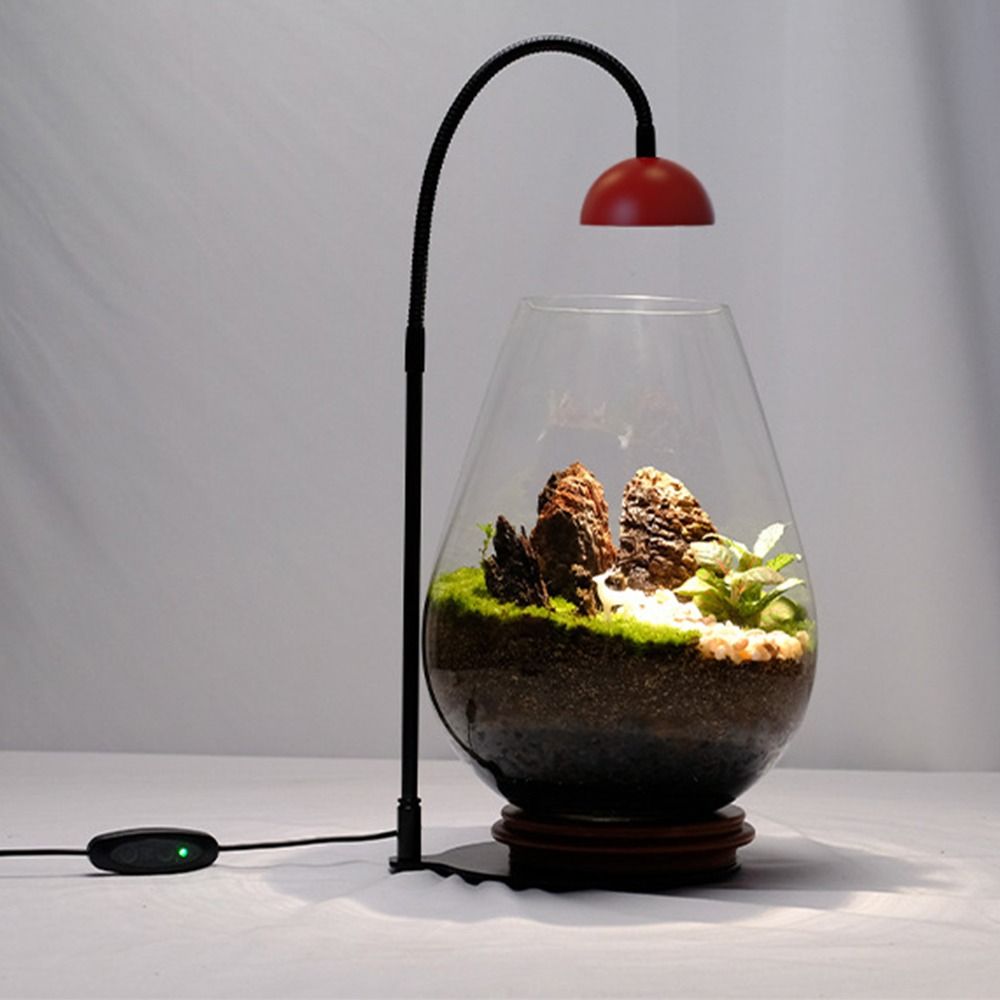 Lámpara LED de Mesa para Plant - Plant Parent reseña y precio