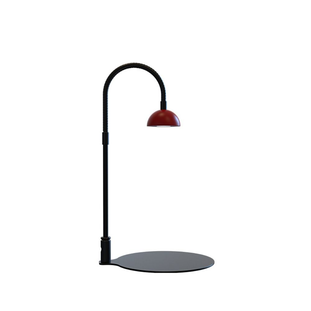 Lámpara LED de Mesa para Plant - Plant Parent reseña y precio