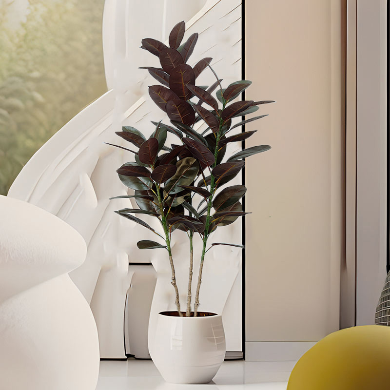 Árbol de Ficus grande de 13-70 - Rubber Plant Ficus reseña y precio