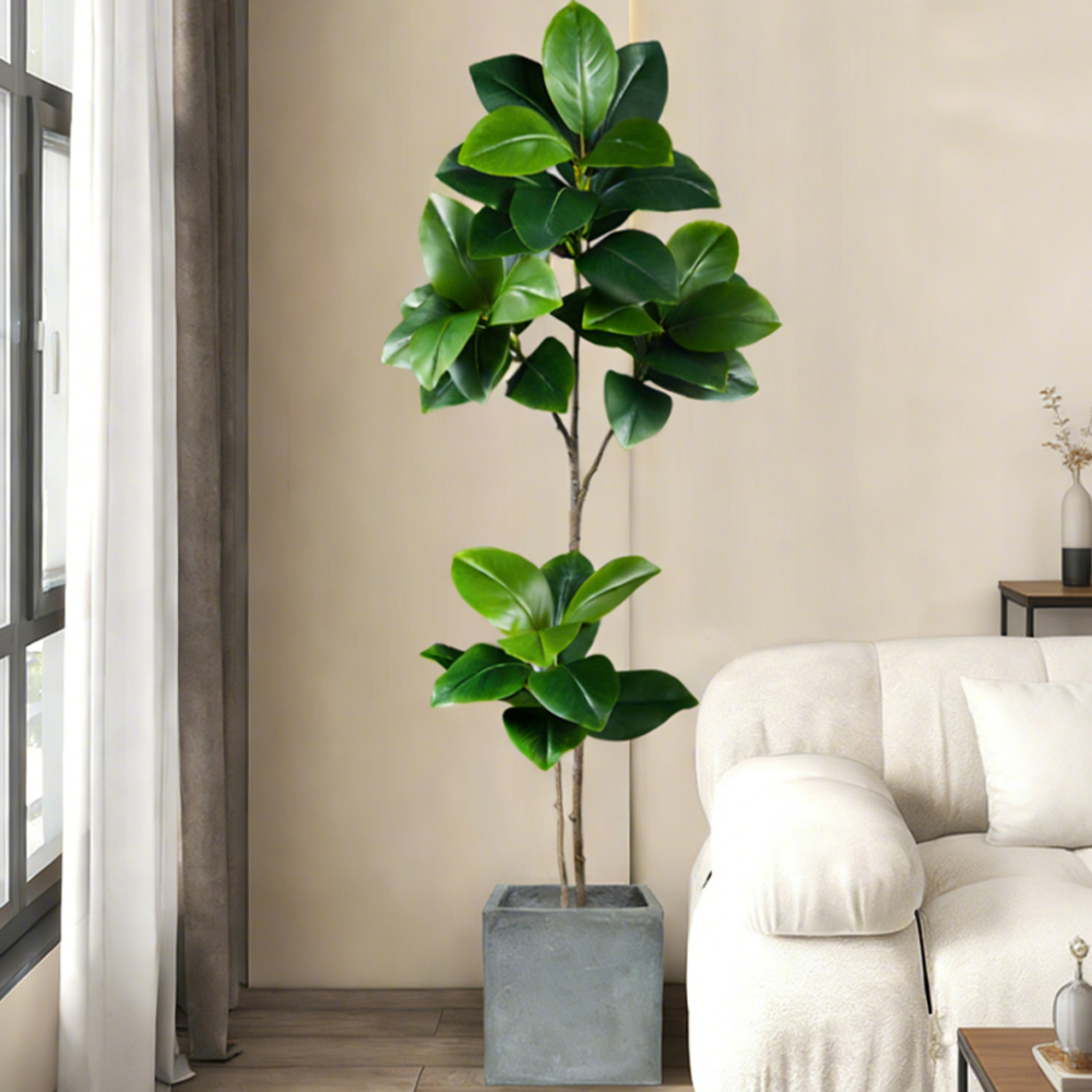 Árbol de caucho artificial de  - Rubber Plant Ficus reseña y precio