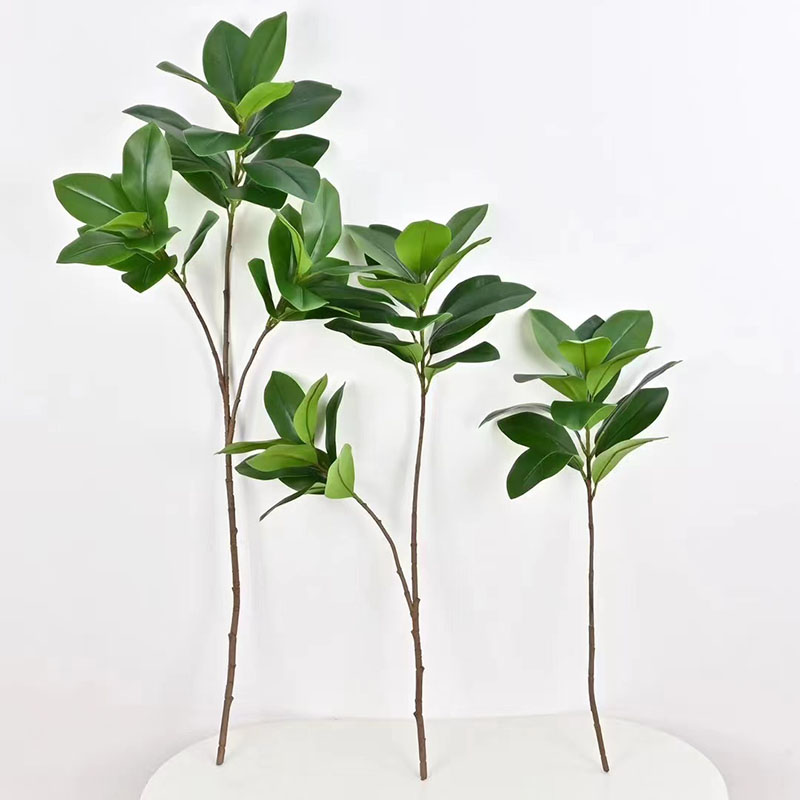 Planta de Banyan falsa grande  - Rubber Plant Ficus reseña y precio