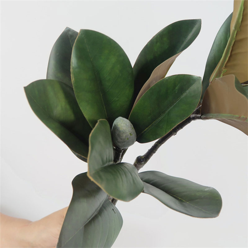 Plantas artificiales grandes d - Rubber Plant Ficus reseña y precio