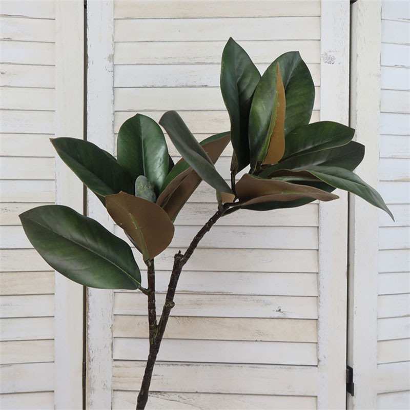 Plantas artificiales grandes d - Rubber Plant Ficus reseña y precio