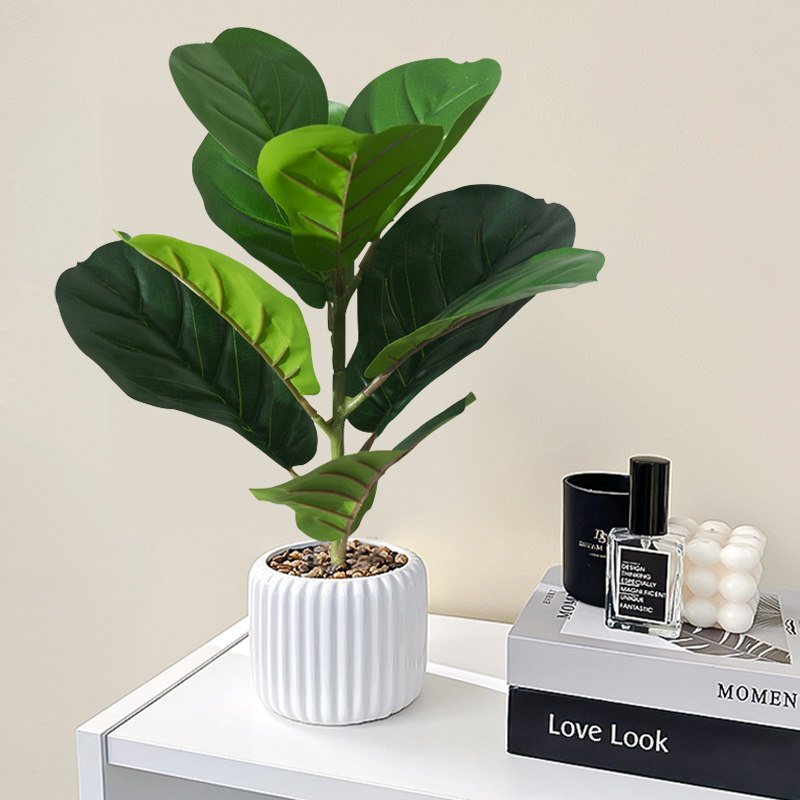 Árbol Ficus falso de 38cm, hoj - Rubber Plant Ficus reseña y precio