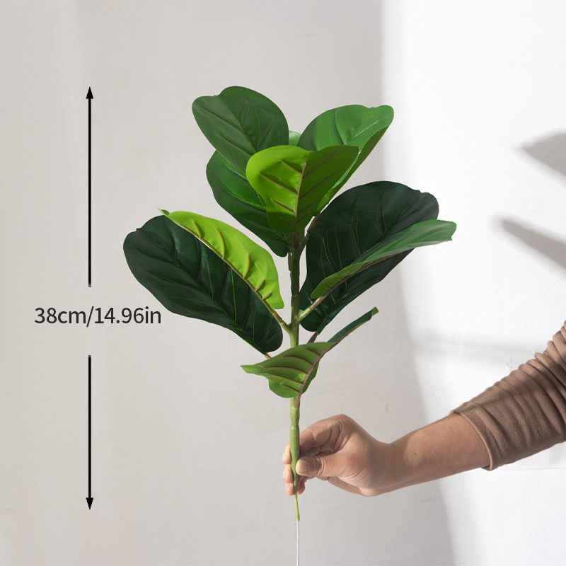 Árbol Ficus falso de 38cm, hoj - Rubber Plant Ficus reseña y precio