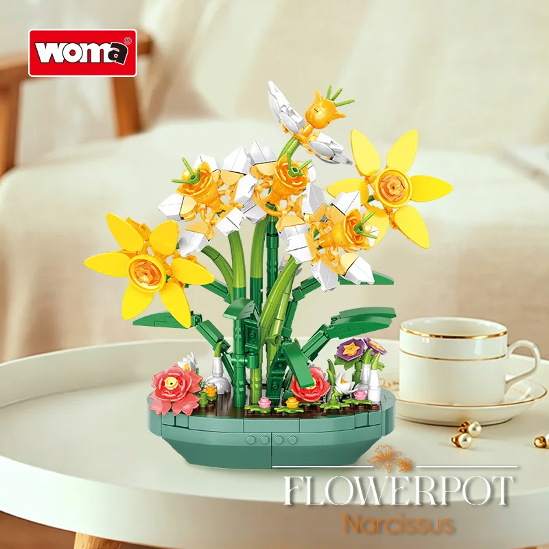Planta en Maceta de Narcisos P - Plant Parent Yearly reseña y precio
